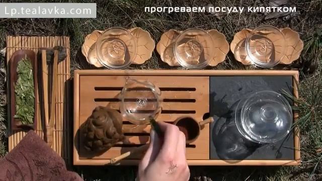 Заваривание зеленого чая