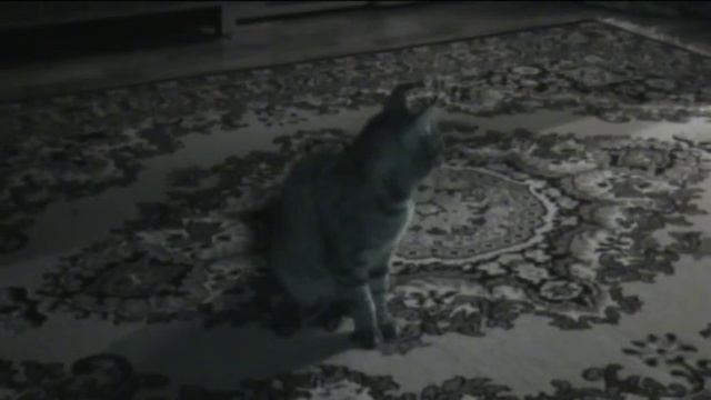 Страшный зверь Terrible animal смотреть онлайн