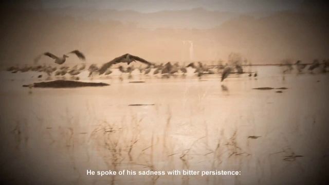 "Les bijoux doivent être sauvages!" . Проект Ефима Резвана в Музее Ахматовой смотреть онлайн