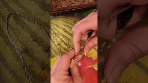 Как лапки из полимерной глины обрастают мехом.