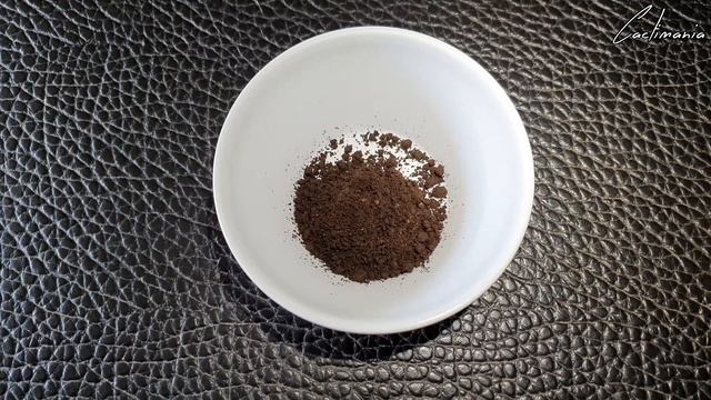 Cactus & Succulent Soil Mix Experiment | New Mix for Haworthia смотреть онлайн