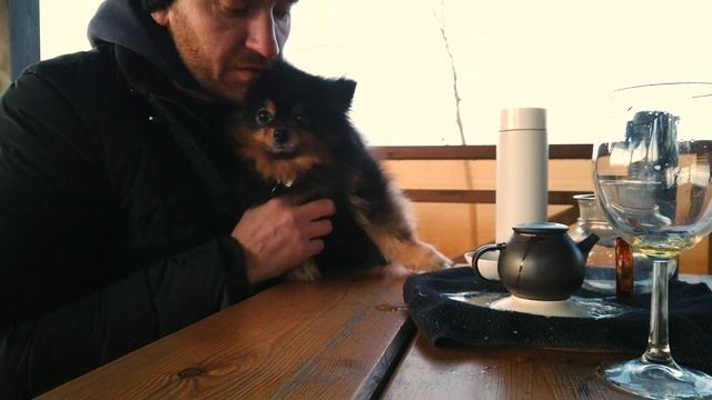 Скучаю по красному чаю. смотреть онлайн