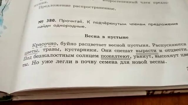 Русский язык. Тема урока:"Повторение. Однородные члены предложения".