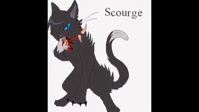 Копия видео Бич коты воители смотреть онлайн