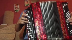 Апипа| Апипа на баяне