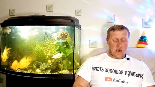 Кир Булычёв. Путешествие Алисы 5 смотреть онлайн