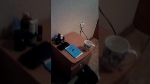 Санаторий Дельфин. Зеленодольск
