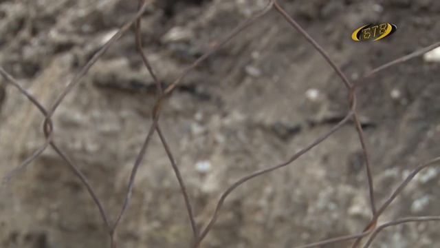 Профилактика по безопасности смотреть онлайн