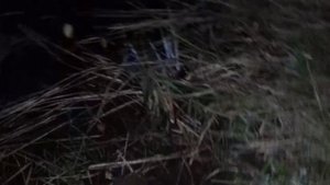 Ловим на подъемник РАКОВ и РЫБУ, раки больше ладони!!!