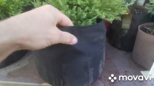 Как поливать тканевый горшок GrowNic ? #горшок #гроубэг #аутдор