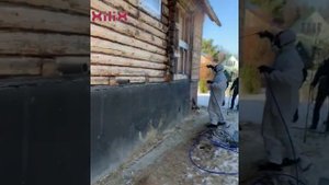 Лечение и защита от короеда, изъеденного жуком деревянного дома технологией XILIX®GEL в Москве.