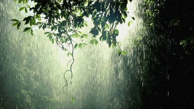 #дождь #осень #природа #rain