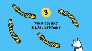 Как отучить собаку прыгать на хозяина?