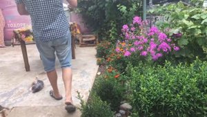 Бычьи хвосты! Готовим в казане.