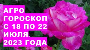 Агрогороскоп с 18 по 22 июля 2023 года. Агрогороскоп з 18 по 22 липня 2023 року