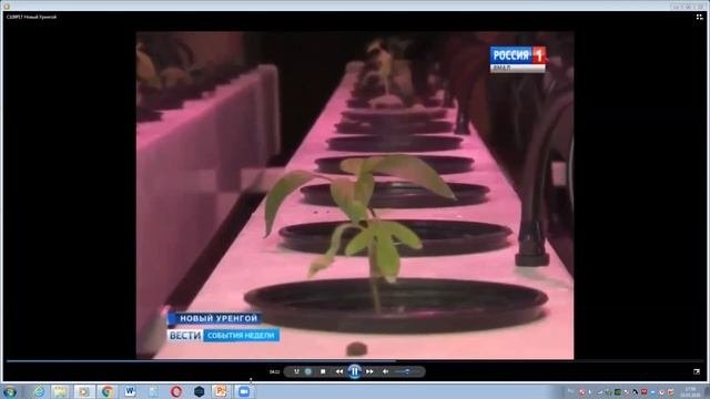 Школа №17 Новый Уренгой