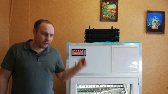 Инкубация индюшиного яйца, особенности, режимы, проблемы.