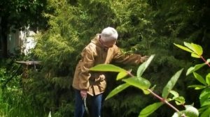 Гайморит. Как избежать прокола?