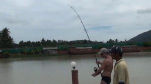 Рыбалка на желтой реке. Сом Меконг