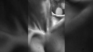 Michelle Gurevich - Let's Part In Style