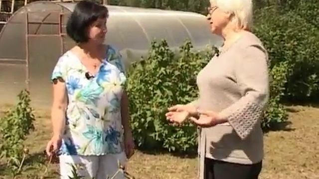 Дачные советы 23.06.16г. смотреть онлайн