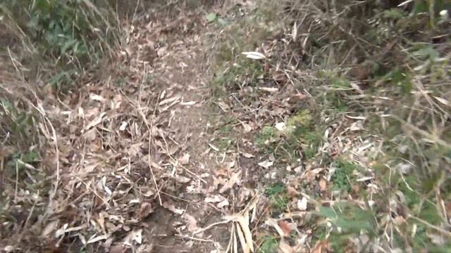 R へいドォイチゴイラン？HARO VS GIANT TEAM KAPIPAL　OSAKA DOWNHILL FREERIDE смотреть онлайн