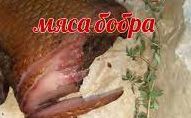 Как приготовить бобра.
