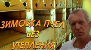 Зимовка пчёл без утепления.