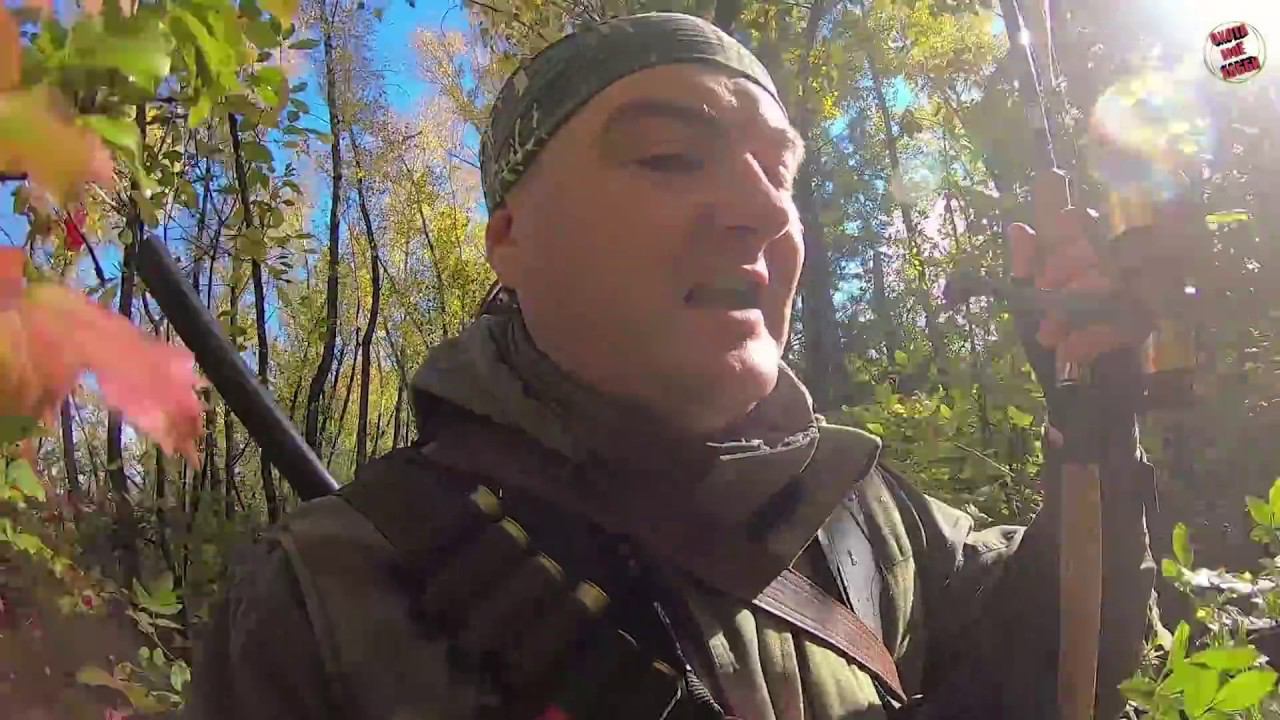 Наткнулся на заброшенную протоку в лесу! Поднял МНОГО УТОК. смотреть онлайн