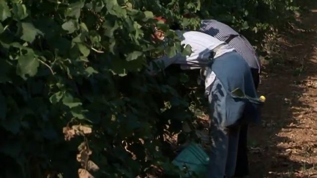 Cellino San Marco e i giorni della commissione antimafia