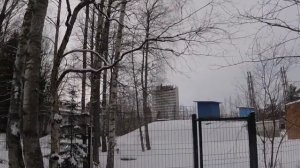 Репино. Пансионат Балтиец.