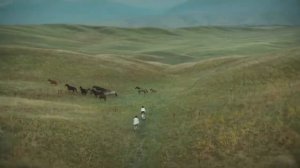 Синие фиалки