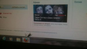 Прикольная муха