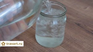 Чёрная редька с мёдом от кашля. Профилактика бронхита ТРАВАРТ Животворец Андрей Протопопов