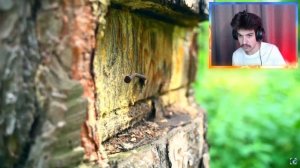 ЛУЧШИЙ ДОМИК НА ДЕРЕВЕ СВОИМИ РУКАМИ -