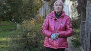 Петуния может цвести дома зимой!