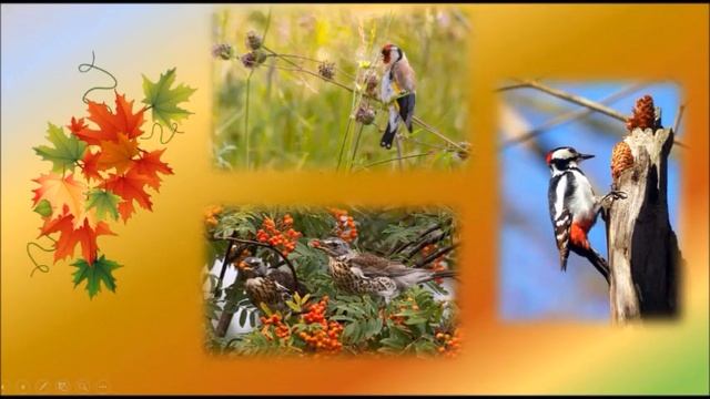 "Осень на пороге" Сладков Н. И. смотреть онлайн