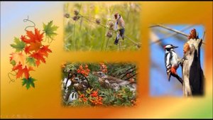 "Осень на пороге" Сладков Н. И.