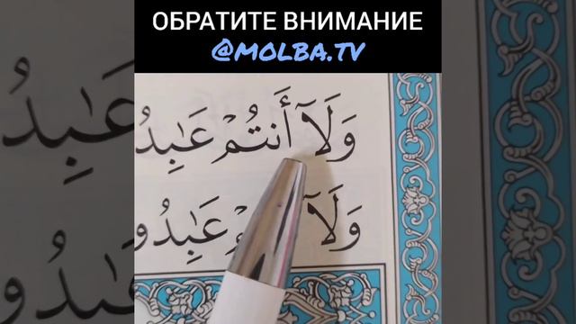 ОБРАТИТЕ ВНИМАНИЕ (ОБУЧЕНИЕ КОРАНА)