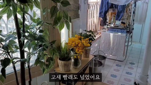 sub)주방식기 깨끗하게 관리하기/ 스테인레스 열탕소독 / 집밥 요리브이로그 / 둘째의 생일파티