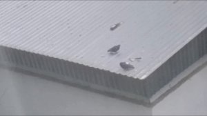 Стабилизированное видео голуби на трансформаторной будке 5381965