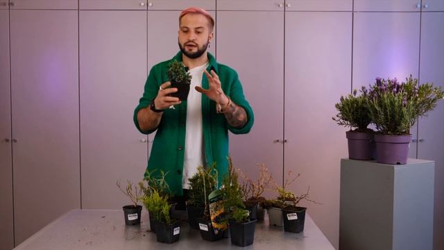 Растения в горшках P9 | Советы от Ильи Гомыранова