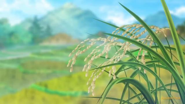 Аниме мифический дух хроники 1-12 серий смотреть онлайн