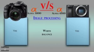 Sony Alpha 3000 vs Sony  Alpha 6500