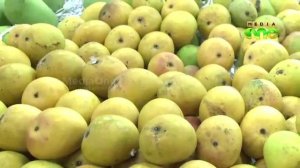 Al Manama mango fest in Dubai