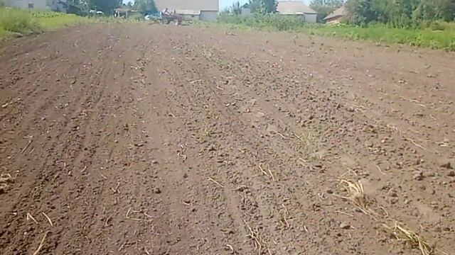 Мототрактор в роботі посів гірчиці 2021 смотреть онлайн