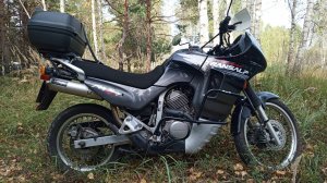 HONDA XL600V TRANSALP