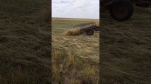 Косилка шумахер МтЗ 80