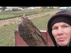 Мотоблок облегчает мой труд.  Вывозим навоз. Сегодня был Дождь, я никак не смог Закончить работу.