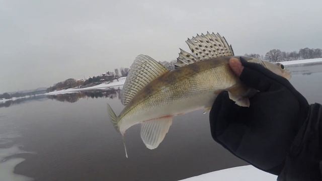 Рыбалка в первый день оттепели! Зимний спиннинг на МОСКВЕ РЕКЕ! Чулково, рыбалка на спиннинг! смотреть онлайн
